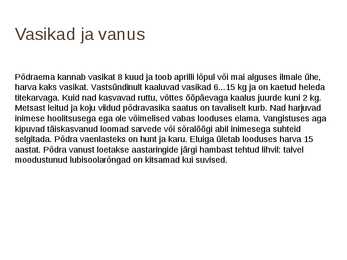 Põder #4