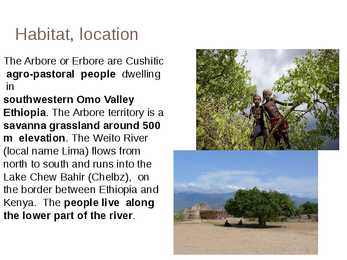 Arbore Tribe #3