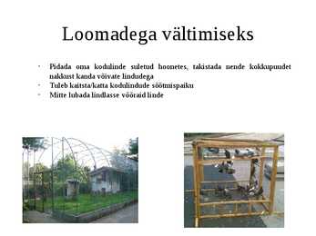 Nimetu #6