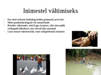 Nimetu #7