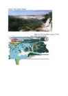 Iguazu Falls #2