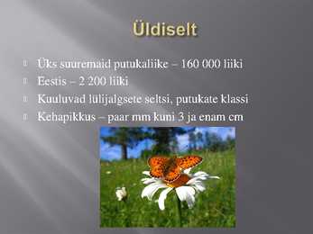 Liblikalised #2