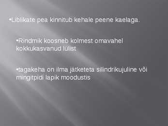 Liblikalised #4