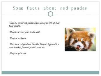Red Panda #8