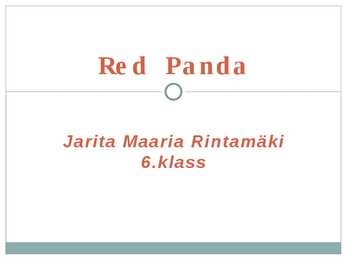 Red Panda