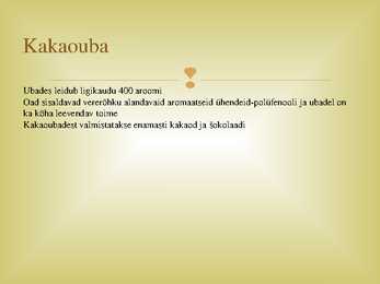 Kakao #5