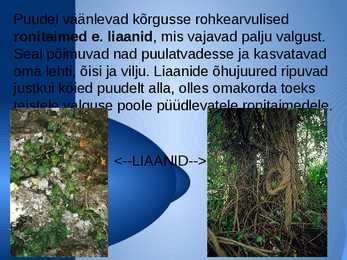 Mille poolest erineb poolkõrbe ja kõrbe loodusvöönd Eesti loodusvööndist #9