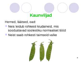 Köögiviljad #15