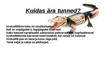 Krokodillid #2