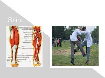 Shin Kicking #4