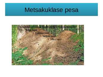 Metsakuklased #5