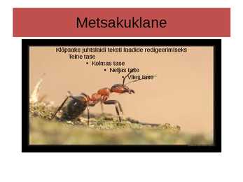 Metsakuklased #7