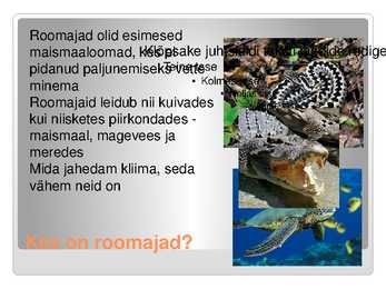 KAS KÕIK ROOMAJAD ROOMAVAD #2