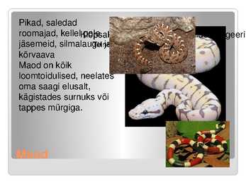 KAS KÕIK ROOMAJAD ROOMAVAD #11