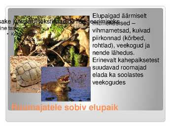 KAS KÕIK ROOMAJAD ROOMAVAD #13