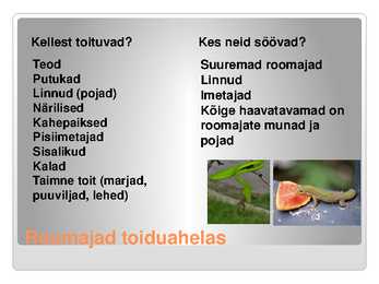 KAS KÕIK ROOMAJAD ROOMAVAD #15