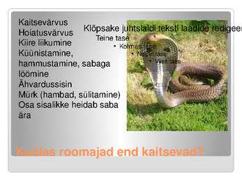 KAS KÕIK ROOMAJAD ROOMAVAD #16