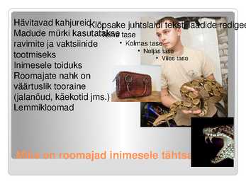 KAS KÕIK ROOMAJAD ROOMAVAD #17