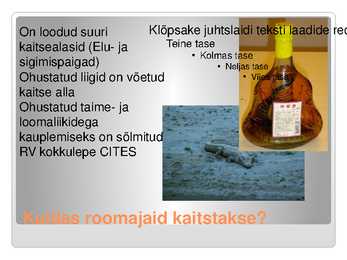 KAS KÕIK ROOMAJAD ROOMAVAD #19
