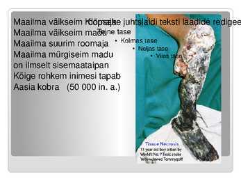 KAS KÕIK ROOMAJAD ROOMAVAD #3