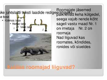 KAS KÕIK ROOMAJAD ROOMAVAD #8