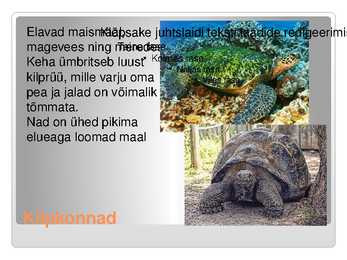 KAS KÕIK ROOMAJAD ROOMAVAD #9
