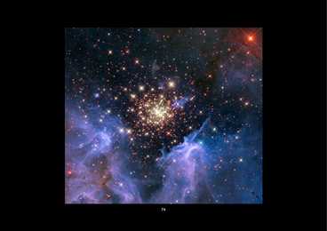 Maailmataju holograafia #93