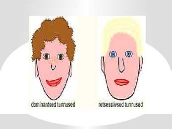 DNA GEENID JA KROMOSOOMID #9