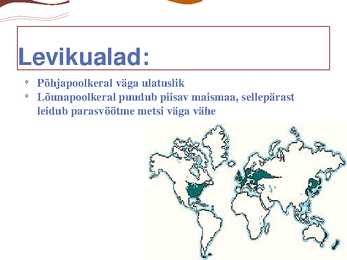 Parasvöötme sega- ja lehtmets #2
