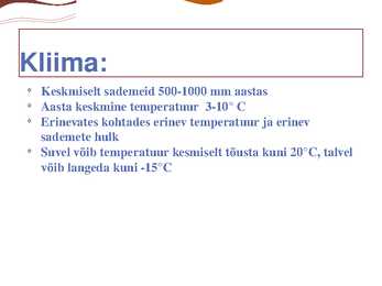 Parasvöötme sega- ja lehtmets #3