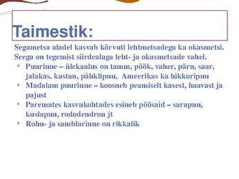 Parasvöötme sega- ja lehtmets #7