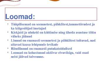 Parasvöötme sega- ja lehtmets #10