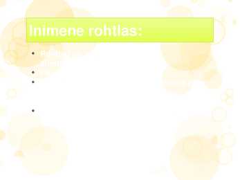 Rohtla #16