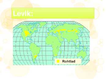 Rohtla #4