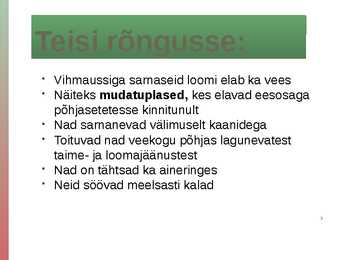 Rõngussid #11