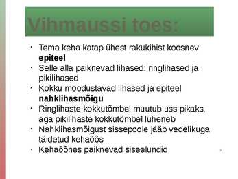 Rõngussid #4