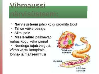 Rõngussid #5