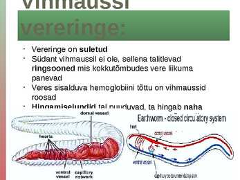 Rõngussid #8