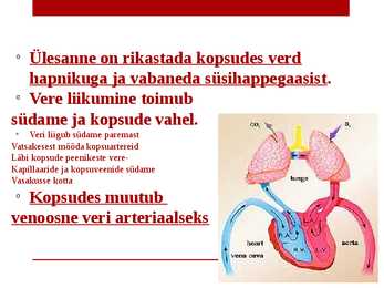 Veresooned ja vereringe #15