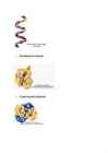 Biomolekulid #13