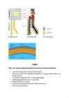 Biomolekulid #9
