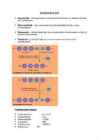 Biomolekulid
