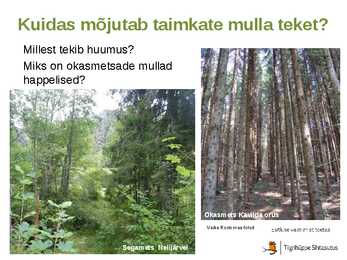 Mullatekkeprotsessid #12