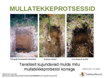 Mullatekkeprotsessid #15