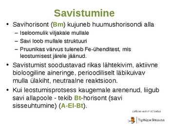 Mullatekkeprotsessid #19