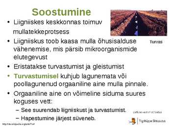 Mullatekkeprotsessid #22