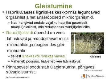 Mullatekkeprotsessid #23
