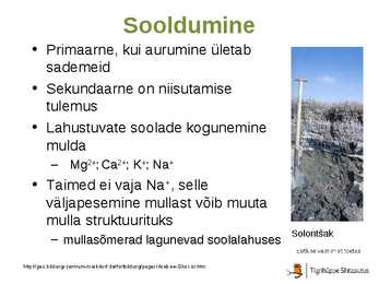 Mullatekkeprotsessid #24