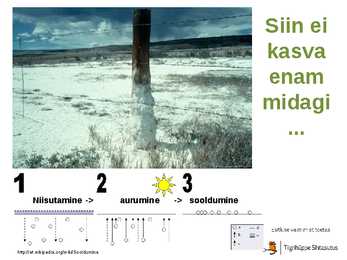 Mullatekkeprotsessid #25