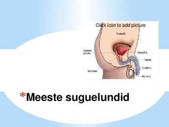 Seksuaalaabits #11